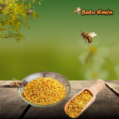 Arı Poleni 500 gr