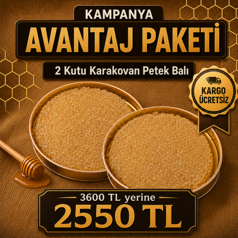2 Kutu Karakovan Petek Balı