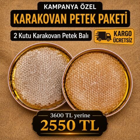 2 Kutu Karakovan Petek Balı